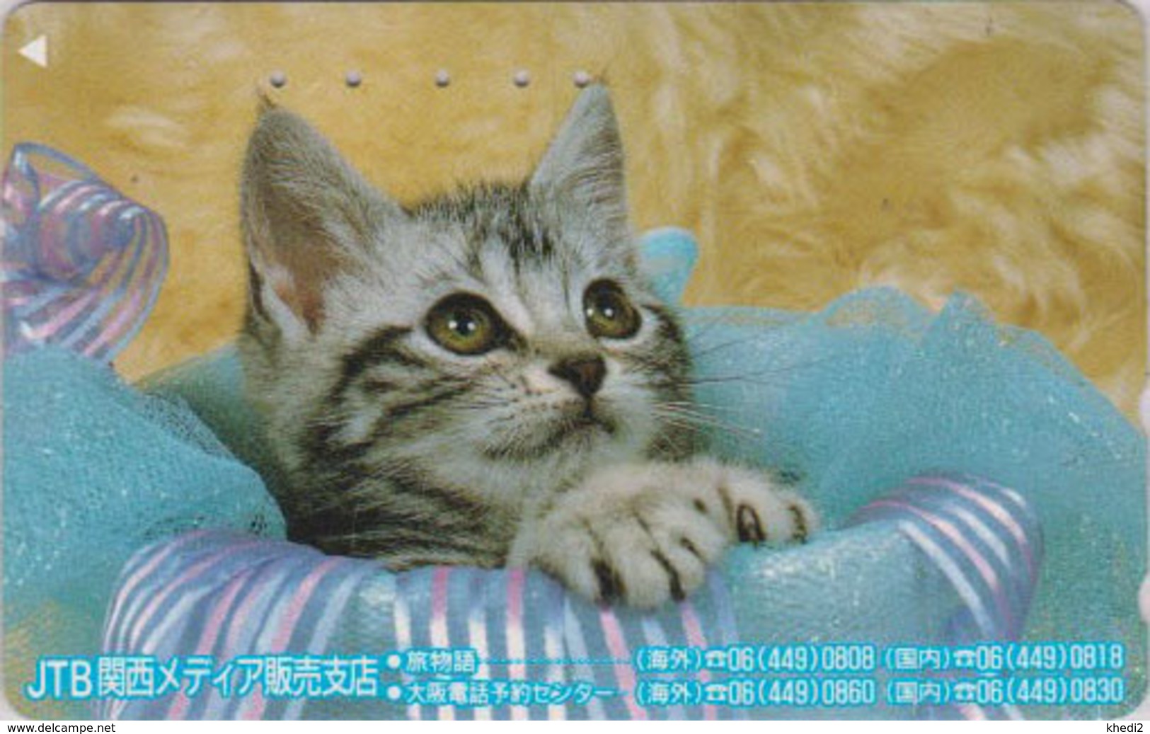 Télécarte Japon / 110-011 - ANIMAL - CHAT ** JTB ** - CAT Japan Phonecard - KATZE - GATTO - GATO - 5033 - Gatos