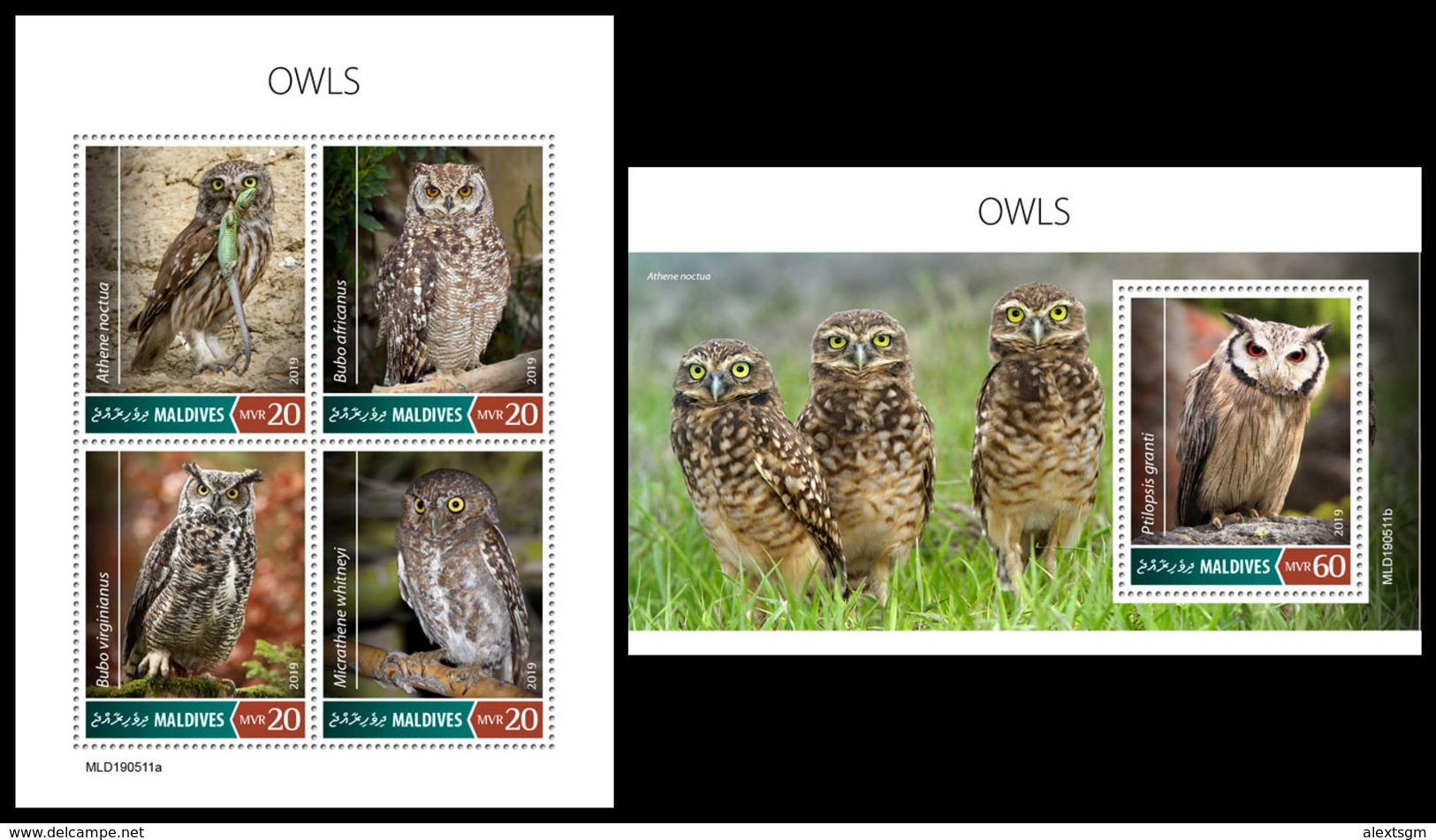 MALDIVES 2019 - Owls. M/S + S/S Official Issue [MLD190511] - Búhos, Lechuza