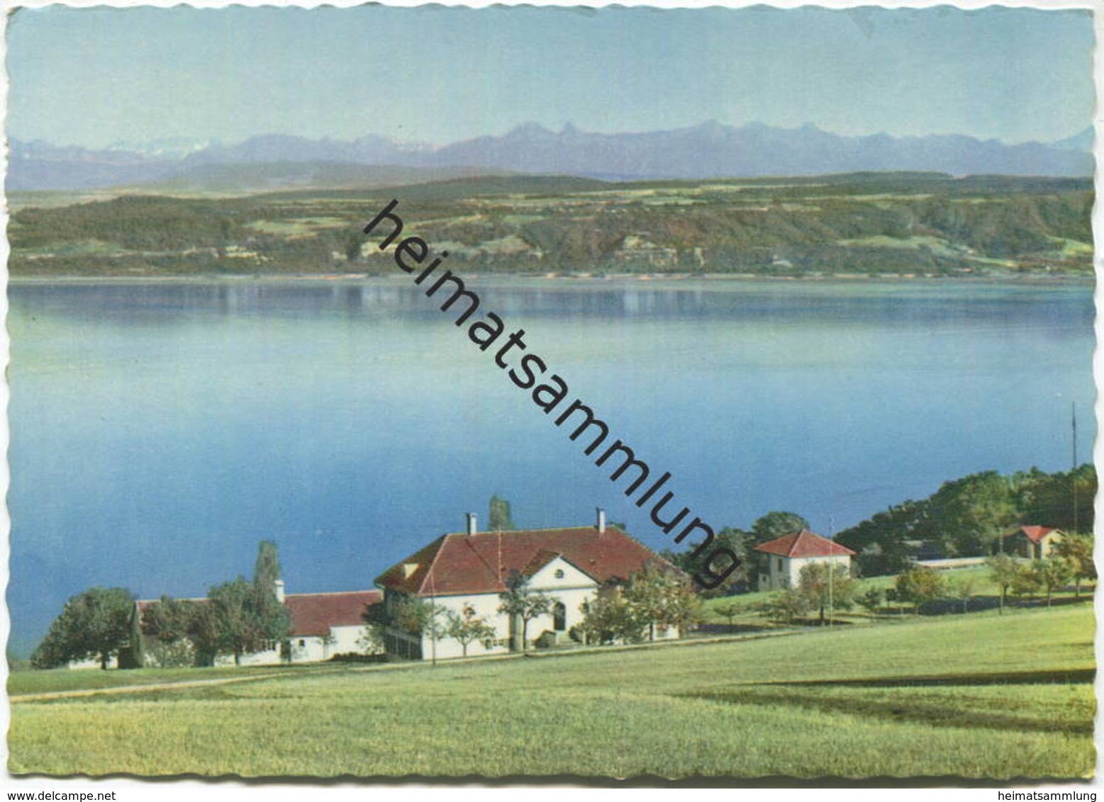 Vaumarcus - Rive Sud Du Lac - AK Grossformat - Edition A. Deriaz Baulmes Gel. 1955 - Vaumarcus