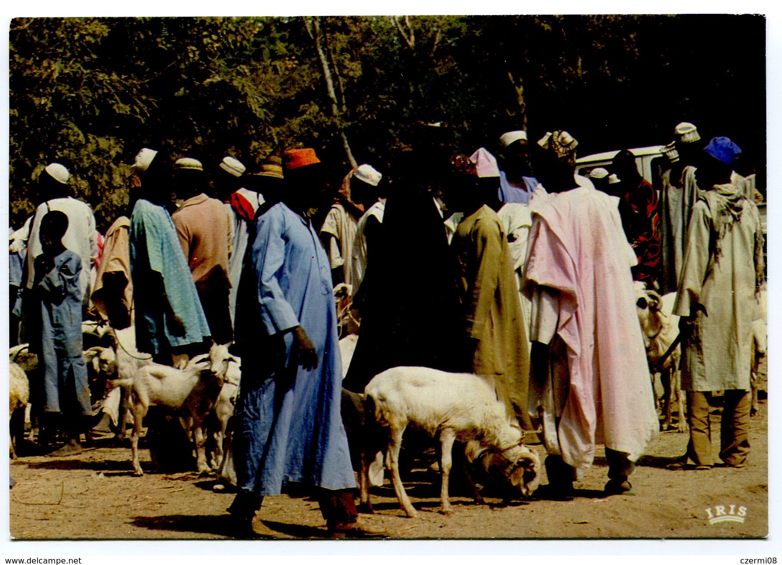 Gambia - Market Scene - Gambia