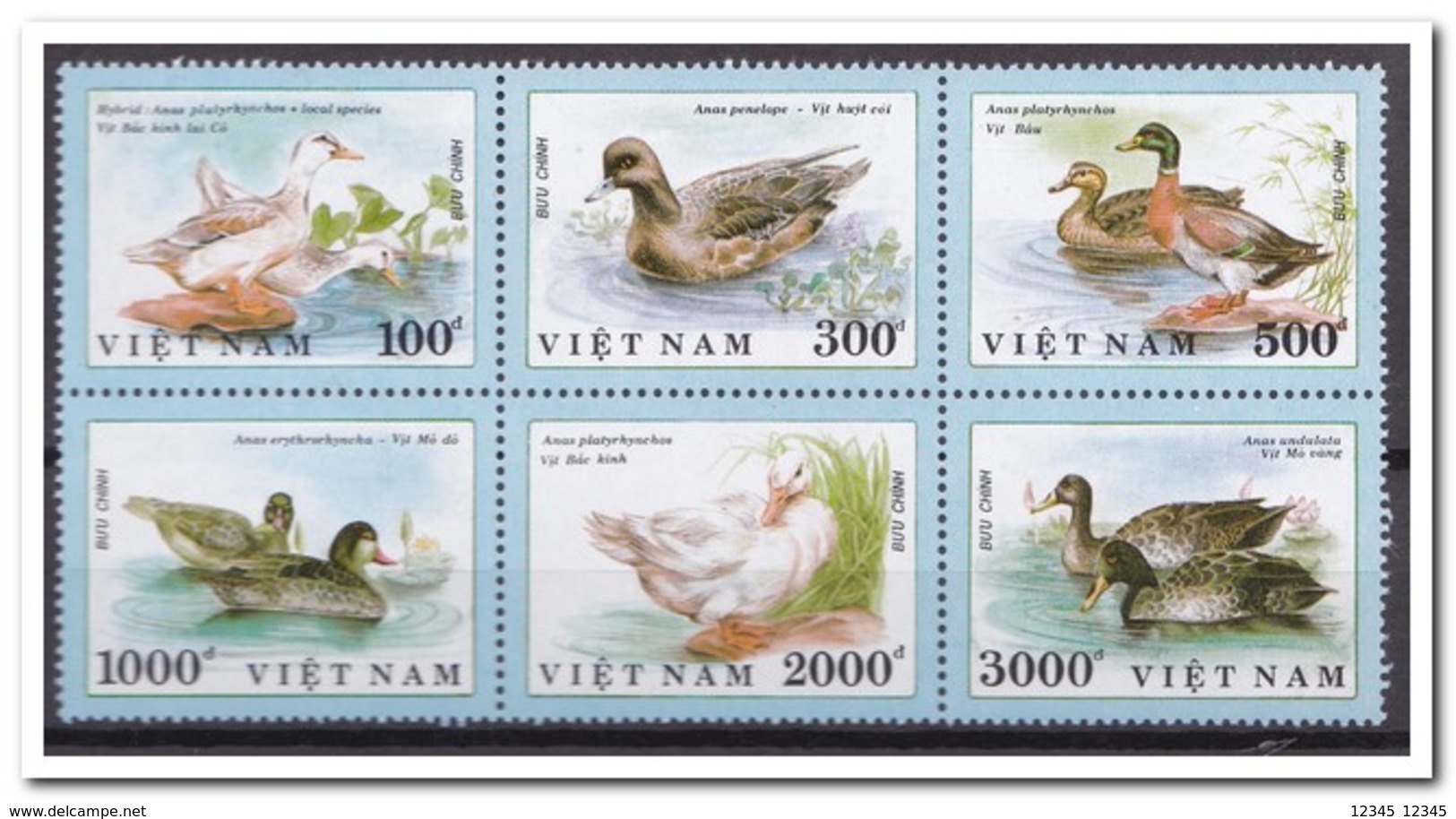 Vietnam 1990, Postfris MNH, Birds, Ducks - Vietnam