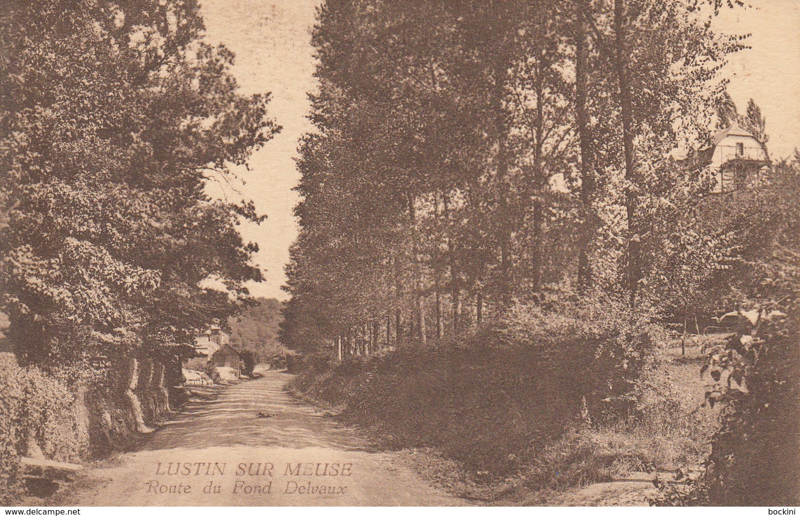 Lustin Sur Meuse-  Route Du Fond Delvaux - état Voir Scan. - Profondeville