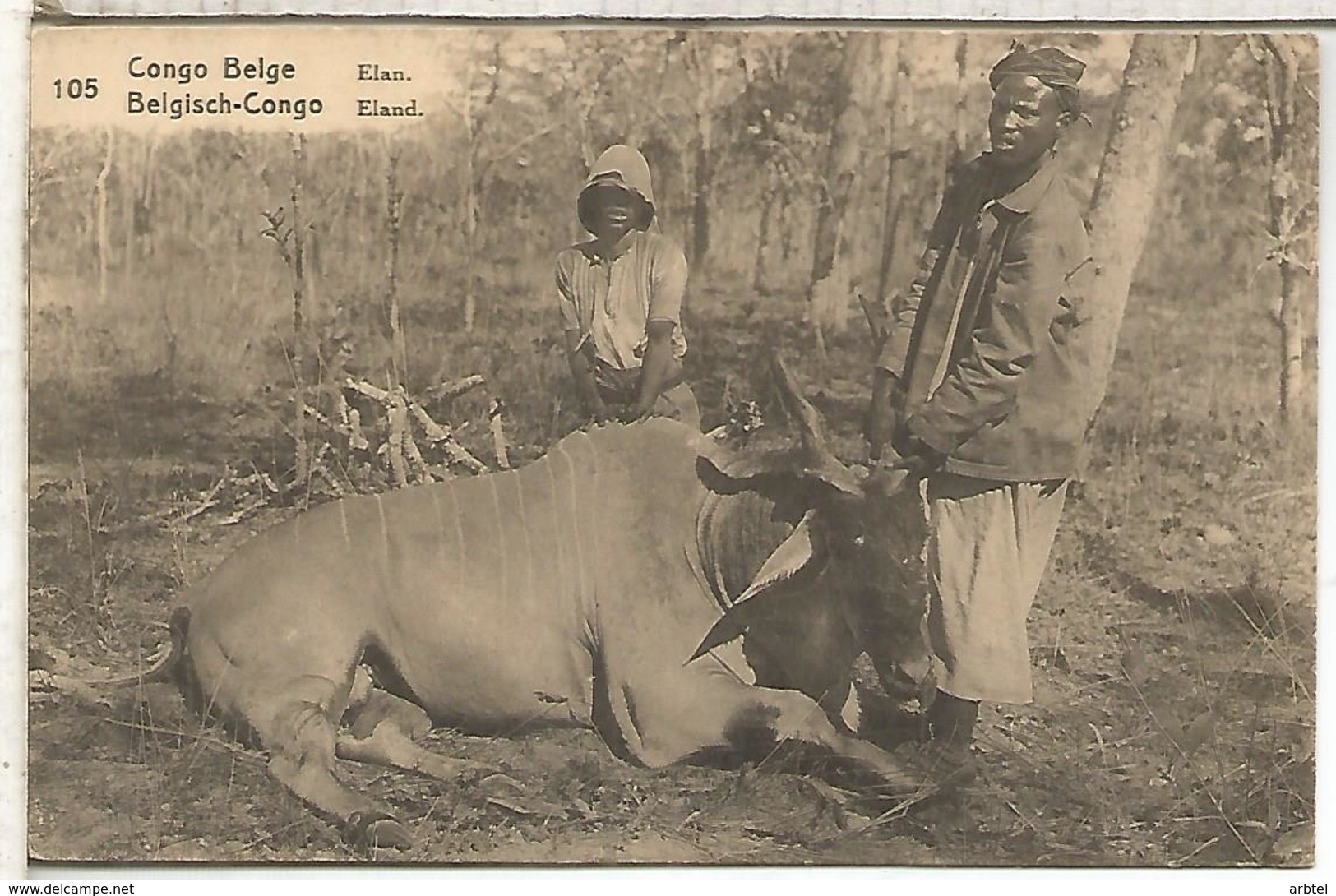 CONGO BELGA ENTERO POSTAL ELAN FAUNA MAMIFERO ANTILOPE - Animalez De Caza