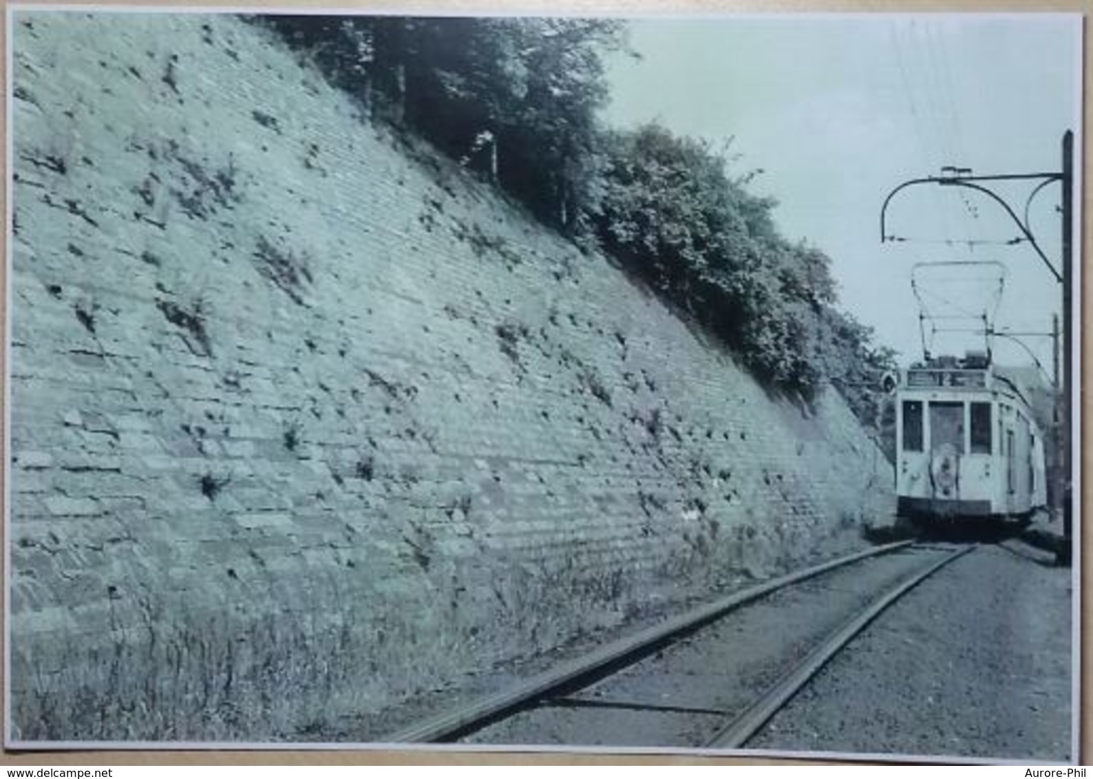 Wasmes Photo Tram N°2  (Reproduction - Photo) - Colfontaine