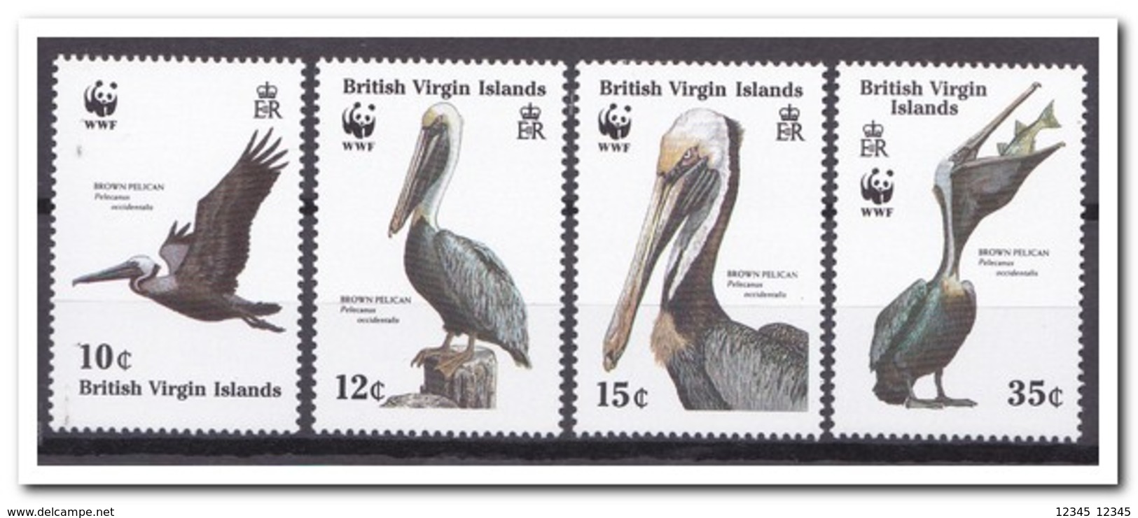 Britse Maagdeneilanden 1988, Postfris MNH, Birds, WWF - British Virgin Islands