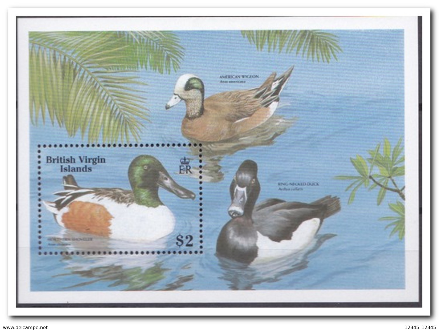 Britse Maagdeneilanden 1988, Postfris MNH, Birds, Ducks - Britse Maagdeneilanden