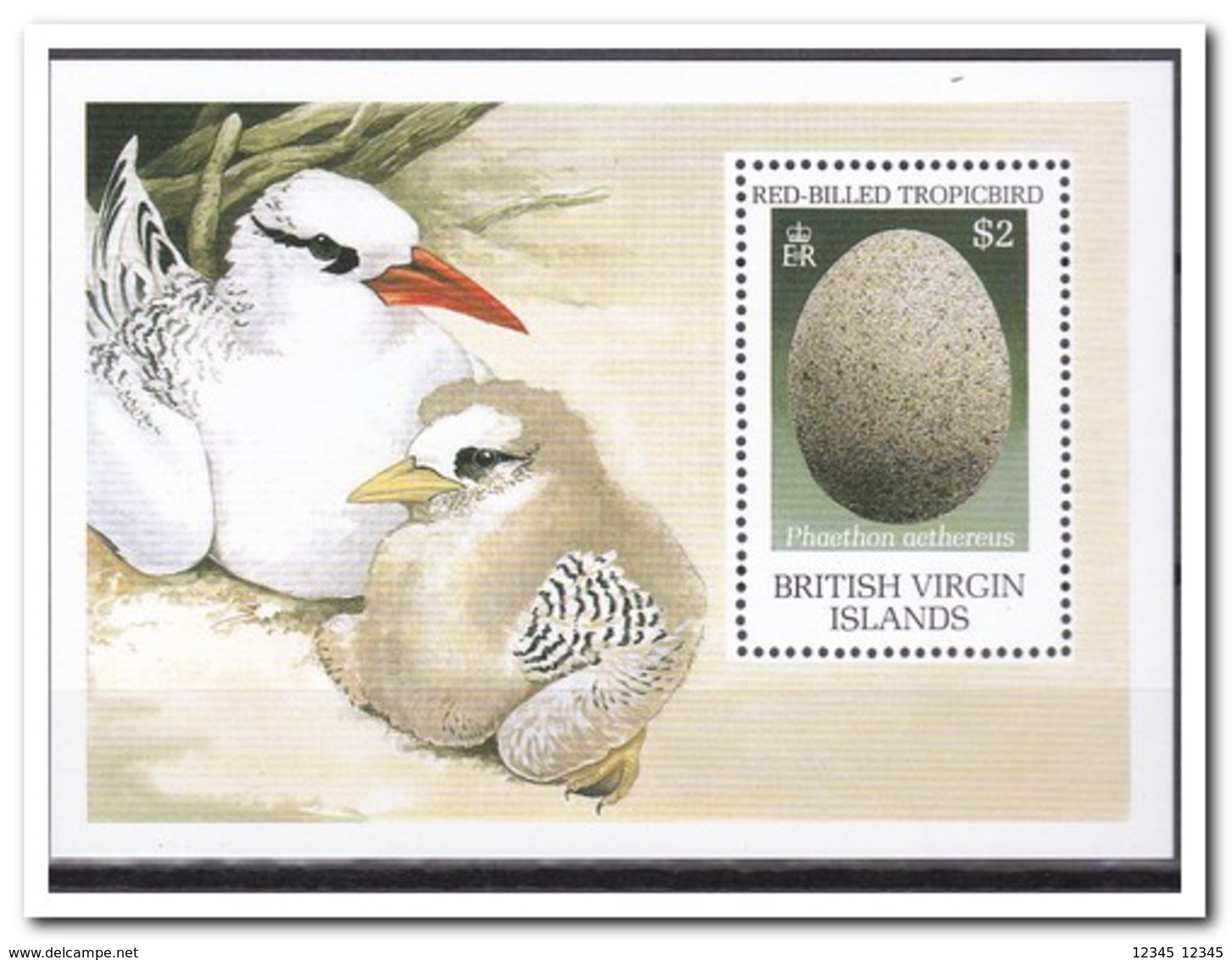 Britse Maagdeneilanden 1990, Postfris MNH, Birds - Britse Maagdeneilanden