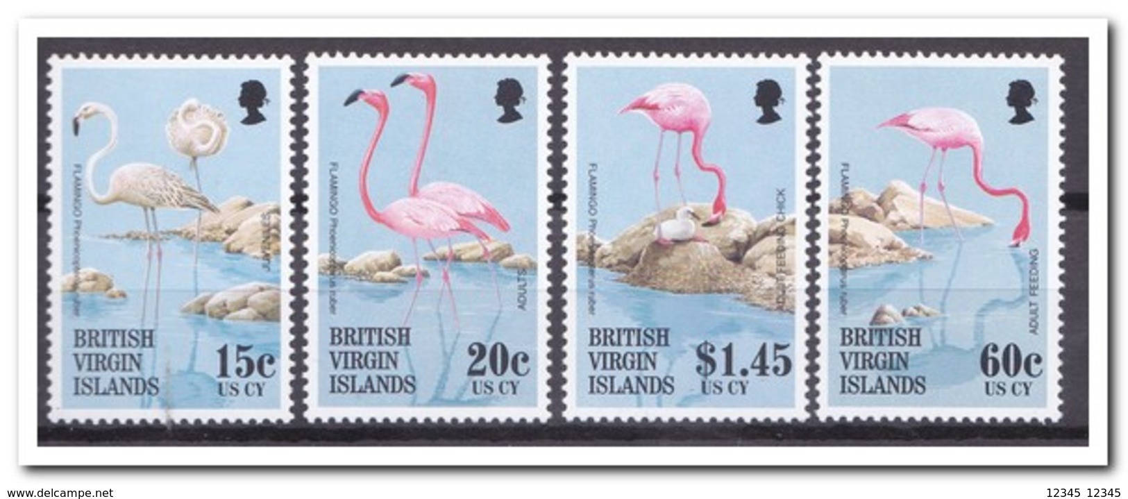 Britse Maagdeneilanden 1995, Postfris MNH, Birds - Britse Maagdeneilanden