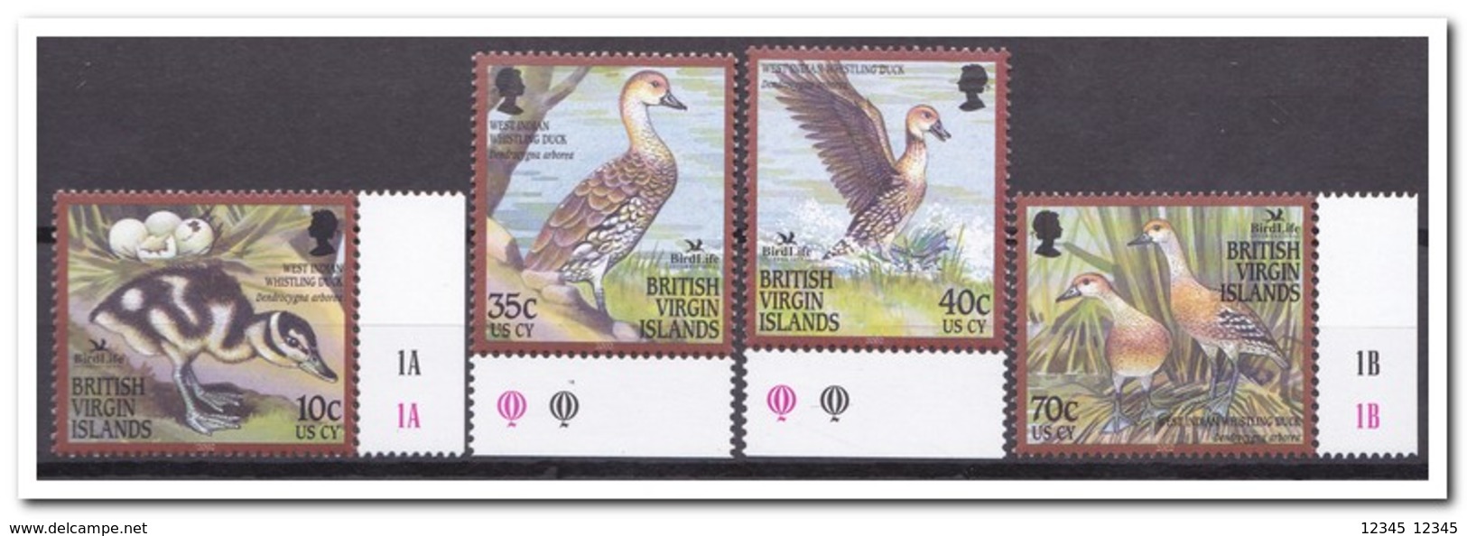 Britse Maagdeneilanden 2002, Postfris MNH, Birds, Ducks - Britse Maagdeneilanden