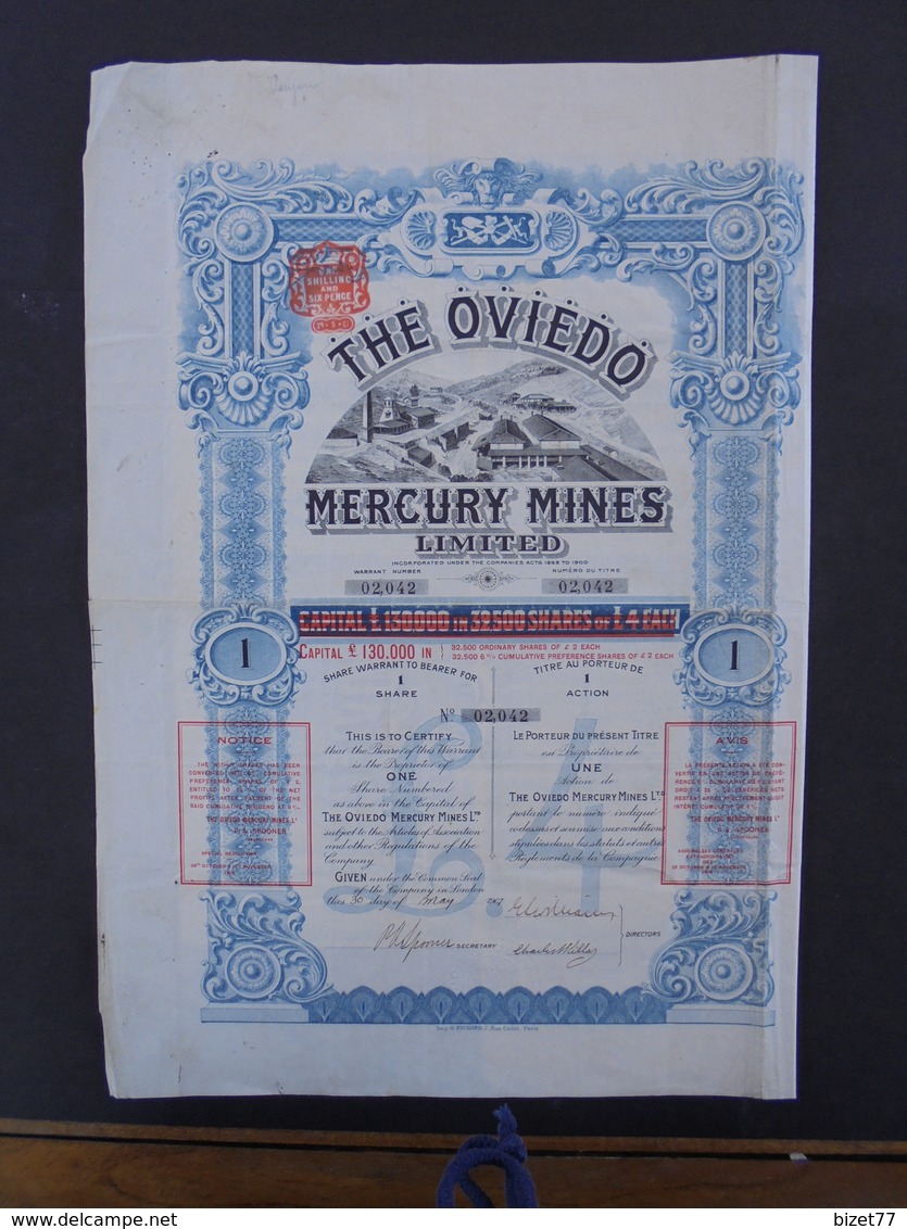 LONDRES 1907 - THE OVIEDO MERCURY MINES - TITRE DE 1 ACTION DE 2  £ - BELLE DECO - Andere & Zonder Classificatie