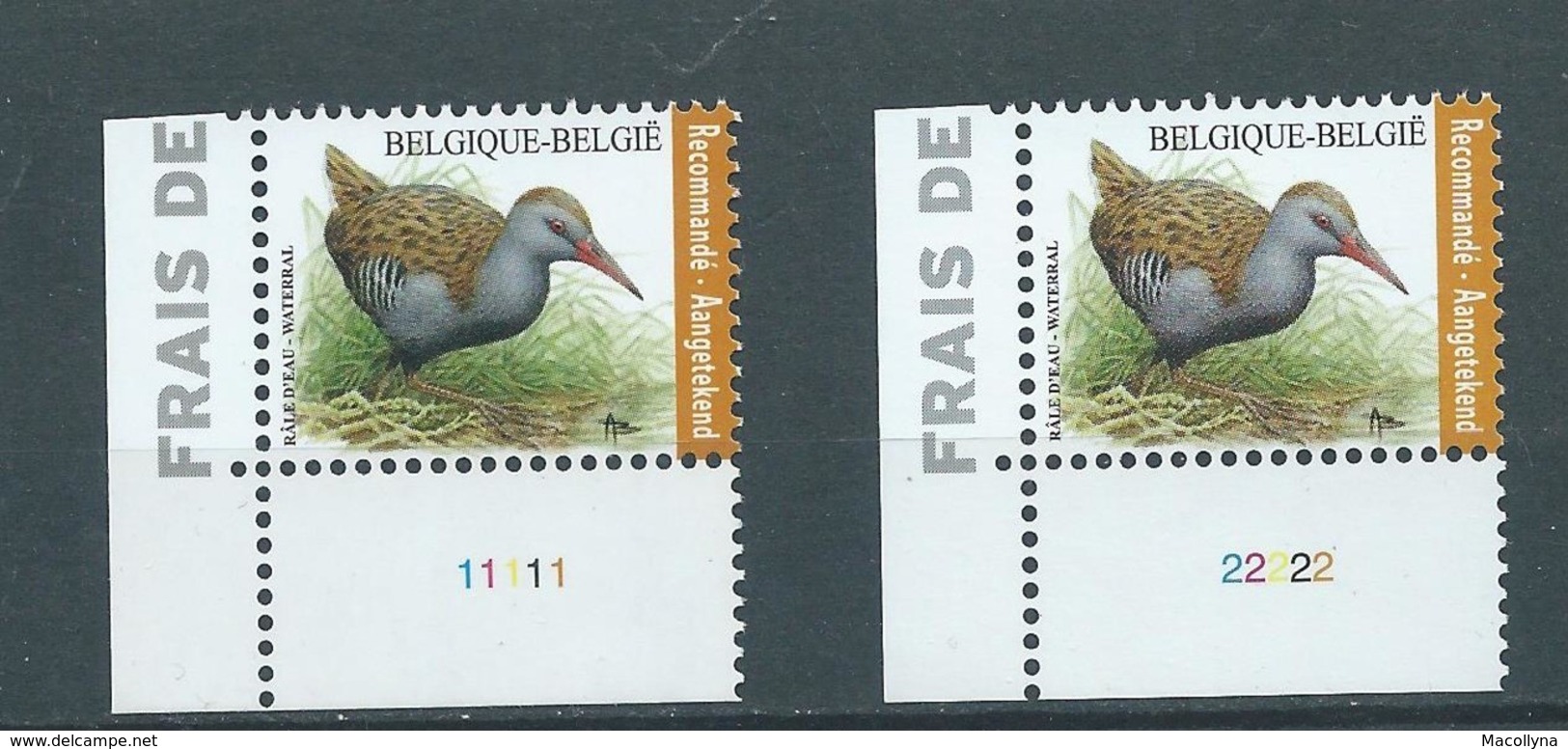 BUZIN 4671** Waterral / Râle D'eau ** PL 1 & 2 Zegels Voor Aangetekende Zending / Timbres Recommandé - 1985-.. Birds (Buzin)