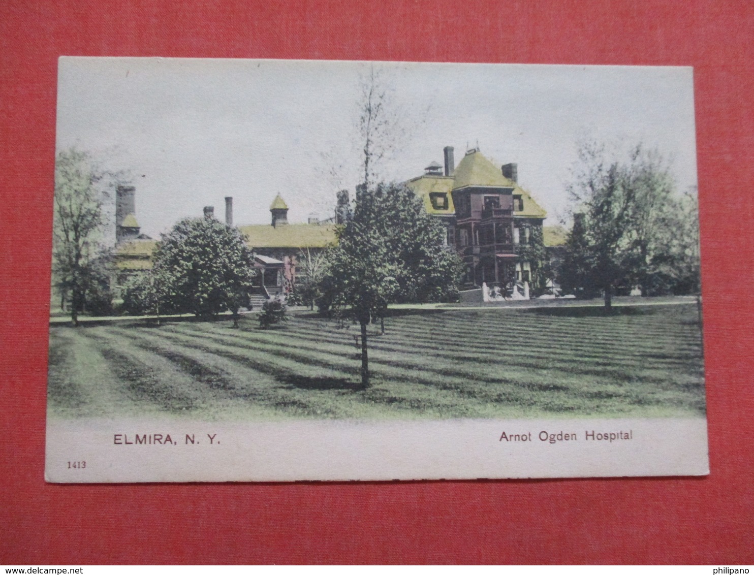 Arnot Ogden Hospital Elmira    New York   Ref 3536 - Other & Unclassified