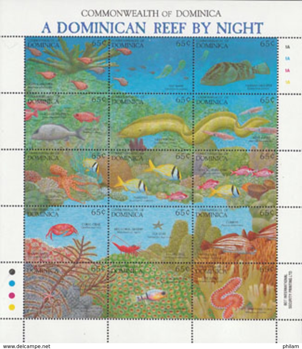 DOMINICA 1992 - Vue Du Corail La Nuit-Poissons Et Faune Marine - Dominique (1978-...)