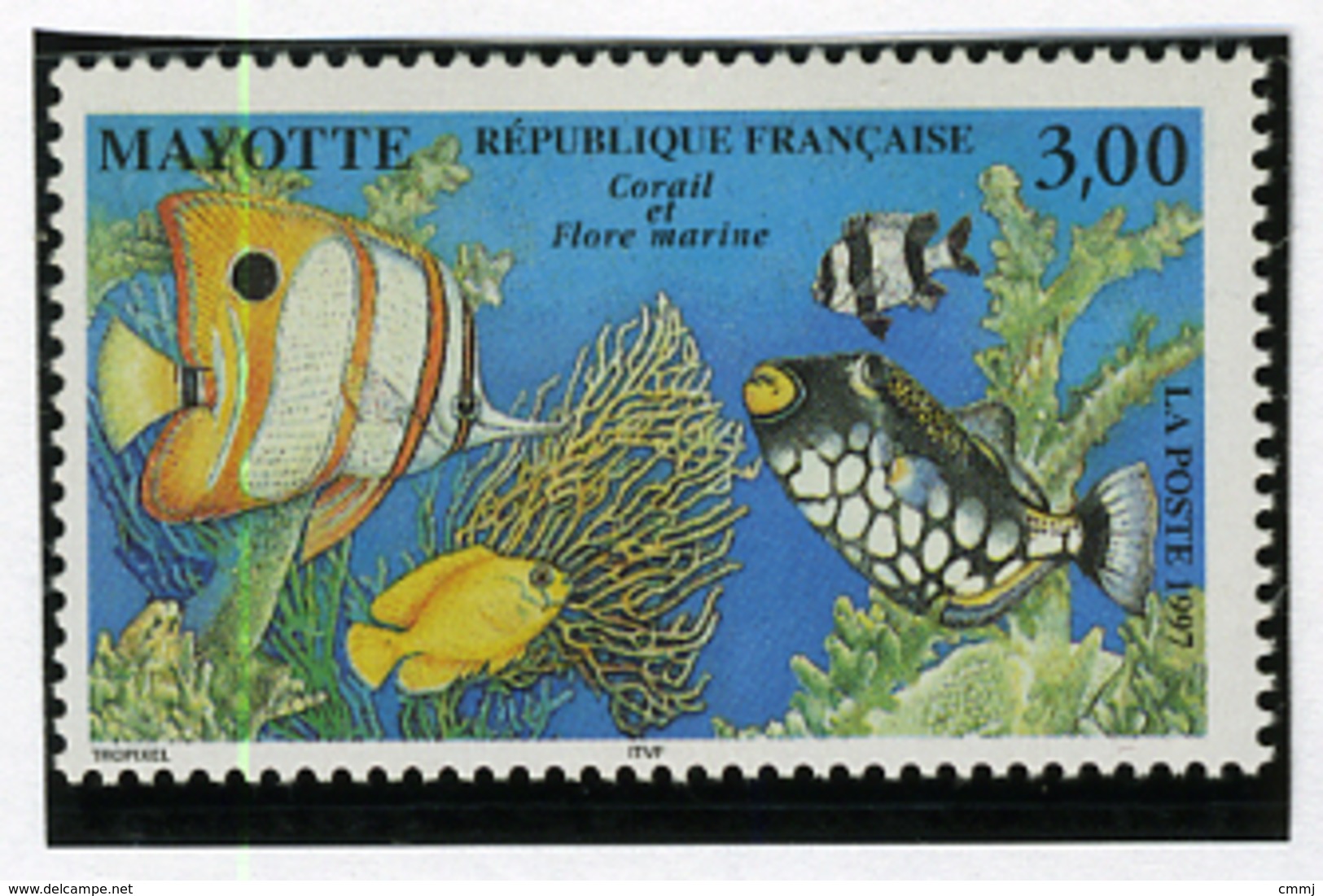 1997 - MAYOTTE - Catg.. Mi. 42 -  NH - (I-SRA3207.54) - Nuovi