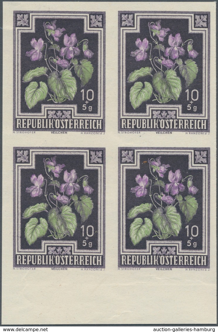 Österreich: 1948. Tuberkulosebekämpfung 10+5 Gr, Als Postfrisches, UNGEZÄHNTES Unterrandstück. FA Tu - Ungebraucht