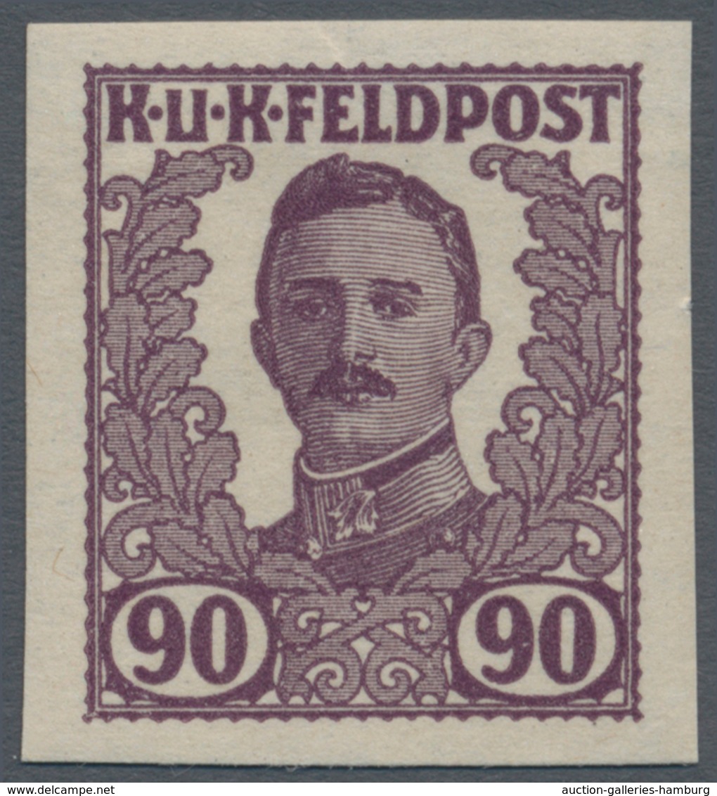 Österreichisch-Ungarische Feldpost - Allgemeine Ausgabe: 1918, Vierzehn UNGEZÄHNTE UNVERAUSGABTE Wer - Autres & Non Classés