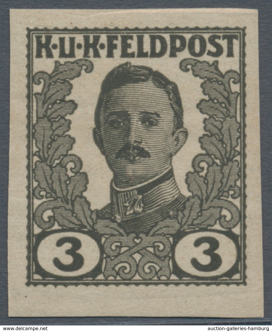 Österreichisch-Ungarische Feldpost - Allgemeine Ausgabe: 1918, Vierzehn UNGEZÄHNTE UNVERAUSGABTE Wer