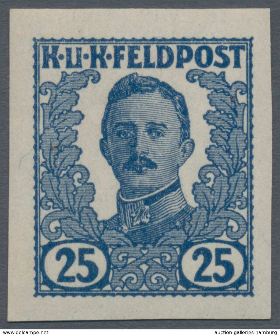 Österreichisch-Ungarische Feldpost - Allgemeine Ausgabe: 1918, Vierzehn UNGEZÄHNTE UNVERAUSGABTE Wer