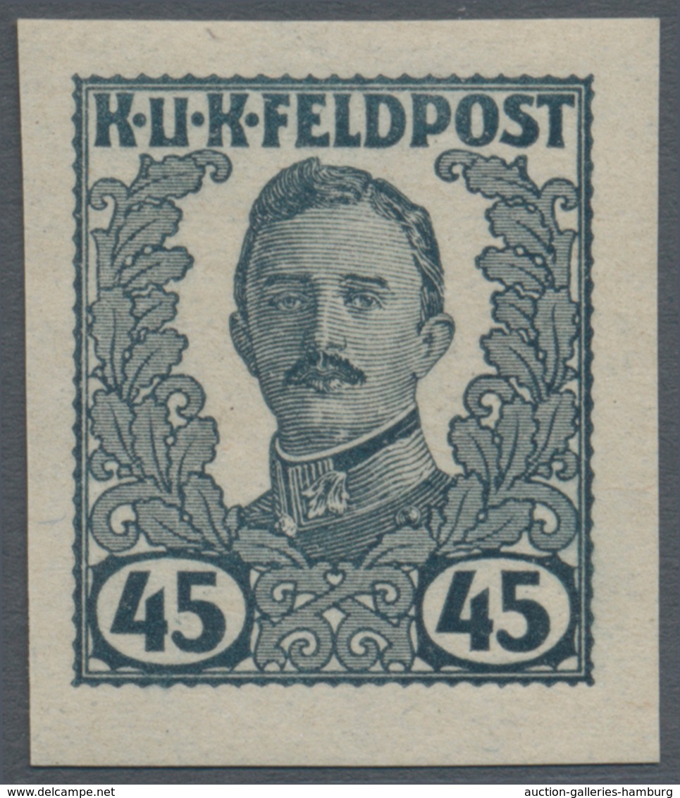 Österreichisch-Ungarische Feldpost - Allgemeine Ausgabe: 1918, Vierzehn UNGEZÄHNTE UNVERAUSGABTE Wer