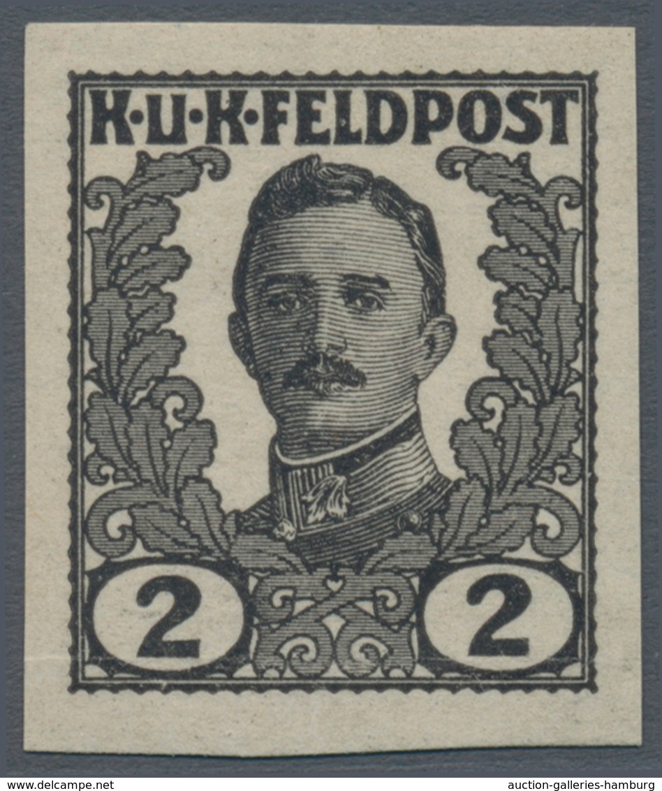 Österreichisch-Ungarische Feldpost - Allgemeine Ausgabe: 1918, Elf UNVERAUSGABTE Werte 1 H Bis 90 H - Otros & Sin Clasificación