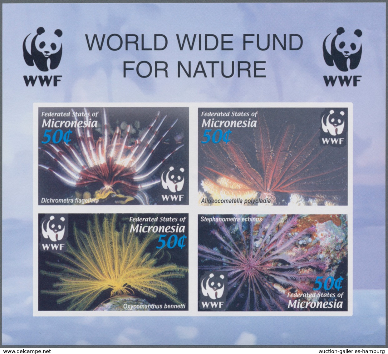 Mikronesien: 2005, WWF (Maldives Feather Star) Complete IMPERFORATE Set Of Four In A Special Miniatu - Mikronesien