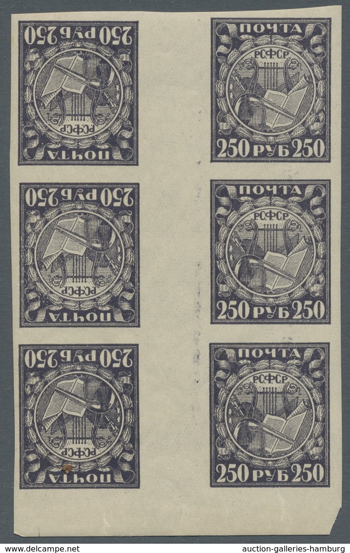 Russland: 1921, "250 Rbl. Dark Gray Violet As Tete-beche Gutter", Mint Never Hinged Lower Margin Blo - Storia Postale