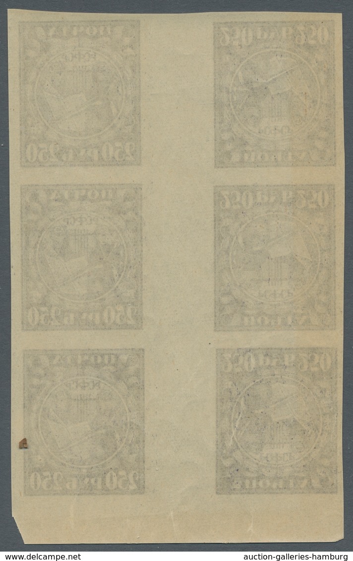 Russland: 1921, "250 Rbl. Dark Gray Violet As Tete-beche Gutter", Mint Never Hinged Lower Margin Blo - Covers & Documents