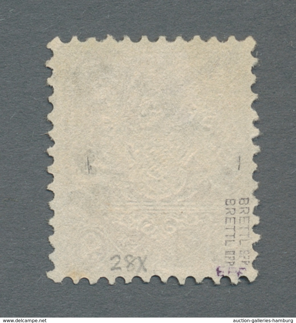 Bayern - Marken Und Briefe: 1873, "9 Kr. Braunorange Mit Wasserzeichen X", Farbfrischer Wert Mit Seh - Sonstige & Ohne Zuordnung