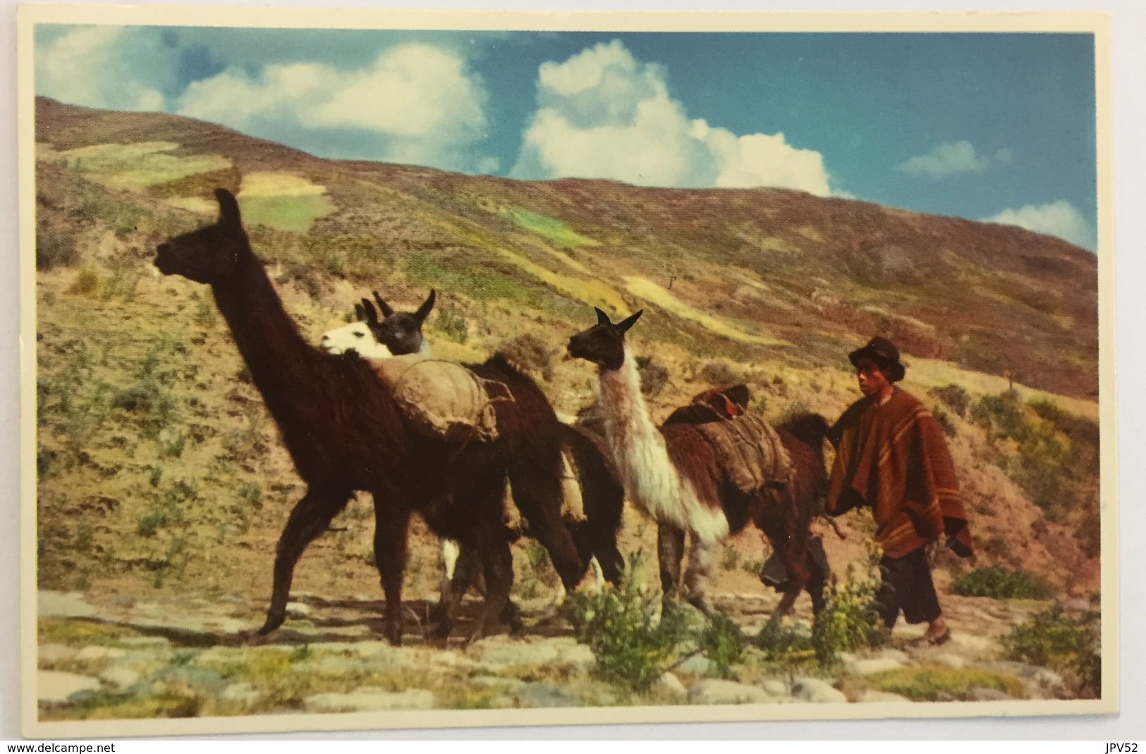 (714) Peru - Native With Llamas In The Peruvian Highlands - Pérou
