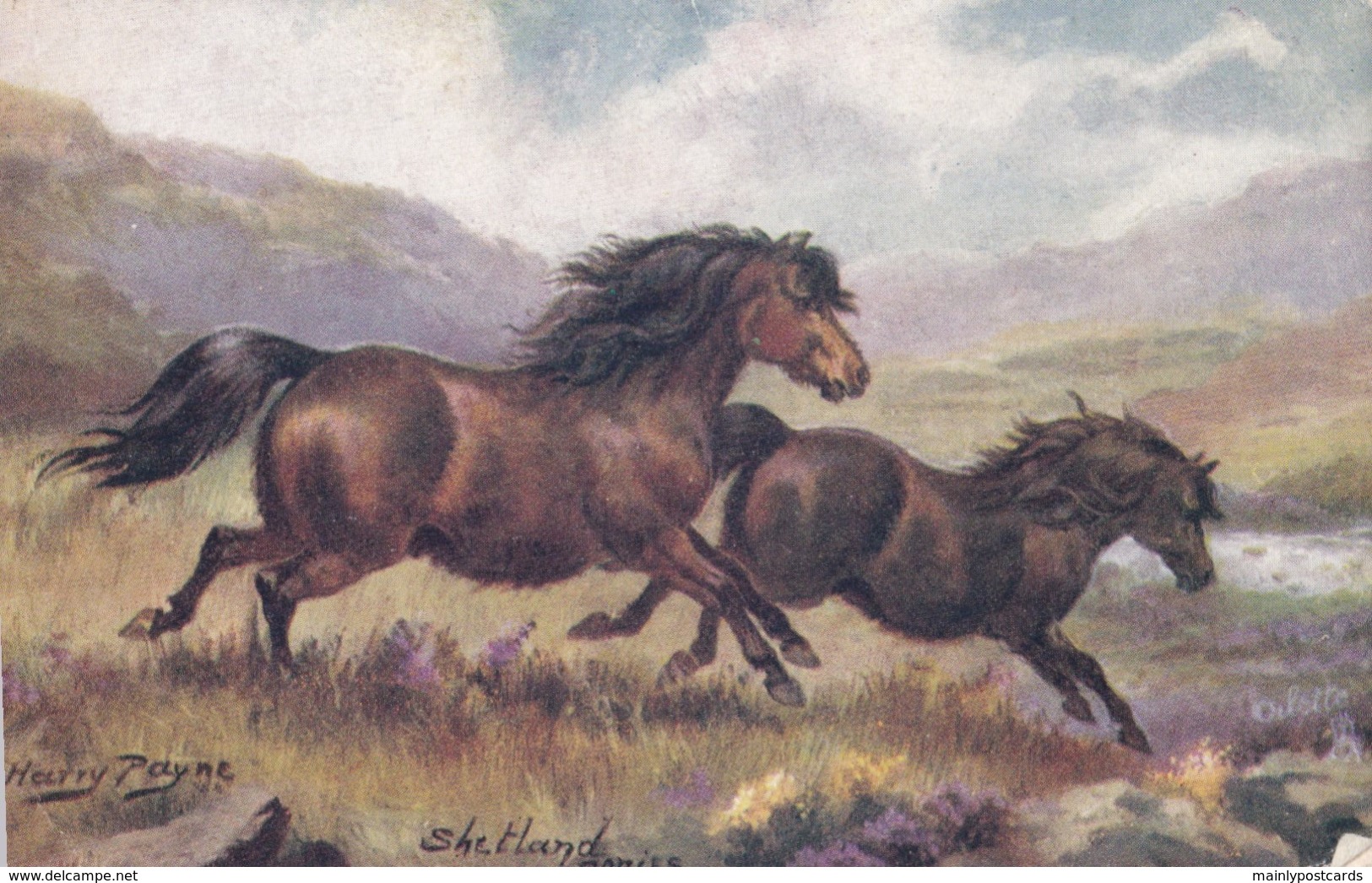 AR57 Animals - Shetland Ponies - Artist Harry Payne, Tuck Oilette - Chevaux