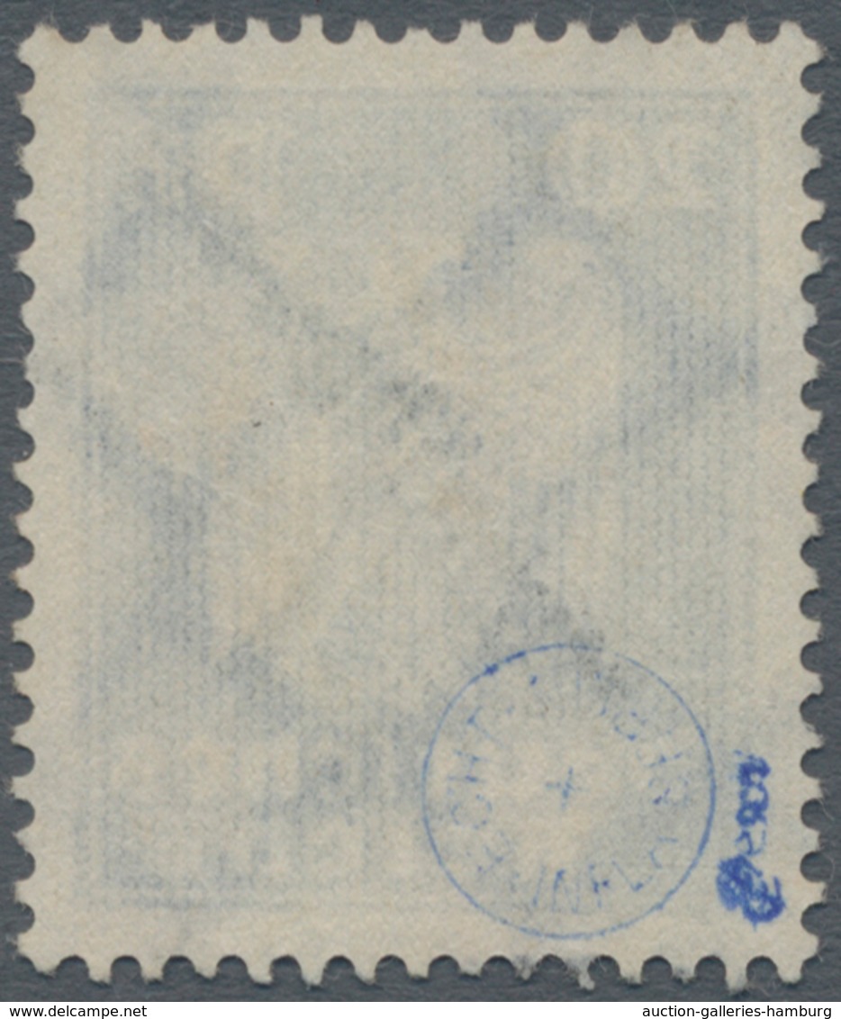 Deutsches Reich - Dienstmarken: 1924, Schlangenaufdruck 20 Pfg. Blau Mit KOPFSTEHENDEM AUFDRUCK, Ech - Oficial