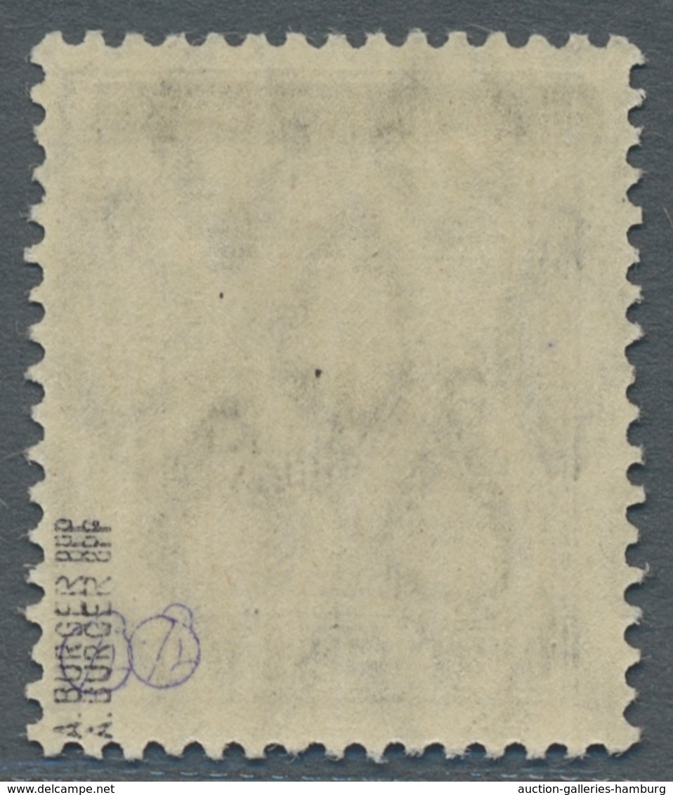 Deutsche Abstimmungsgebiete: Saargebiet: 1920, "2 ½ Pfg. Mit Germania/Sarre Mit Kopfstehendem Aufdru - Lettres & Documents