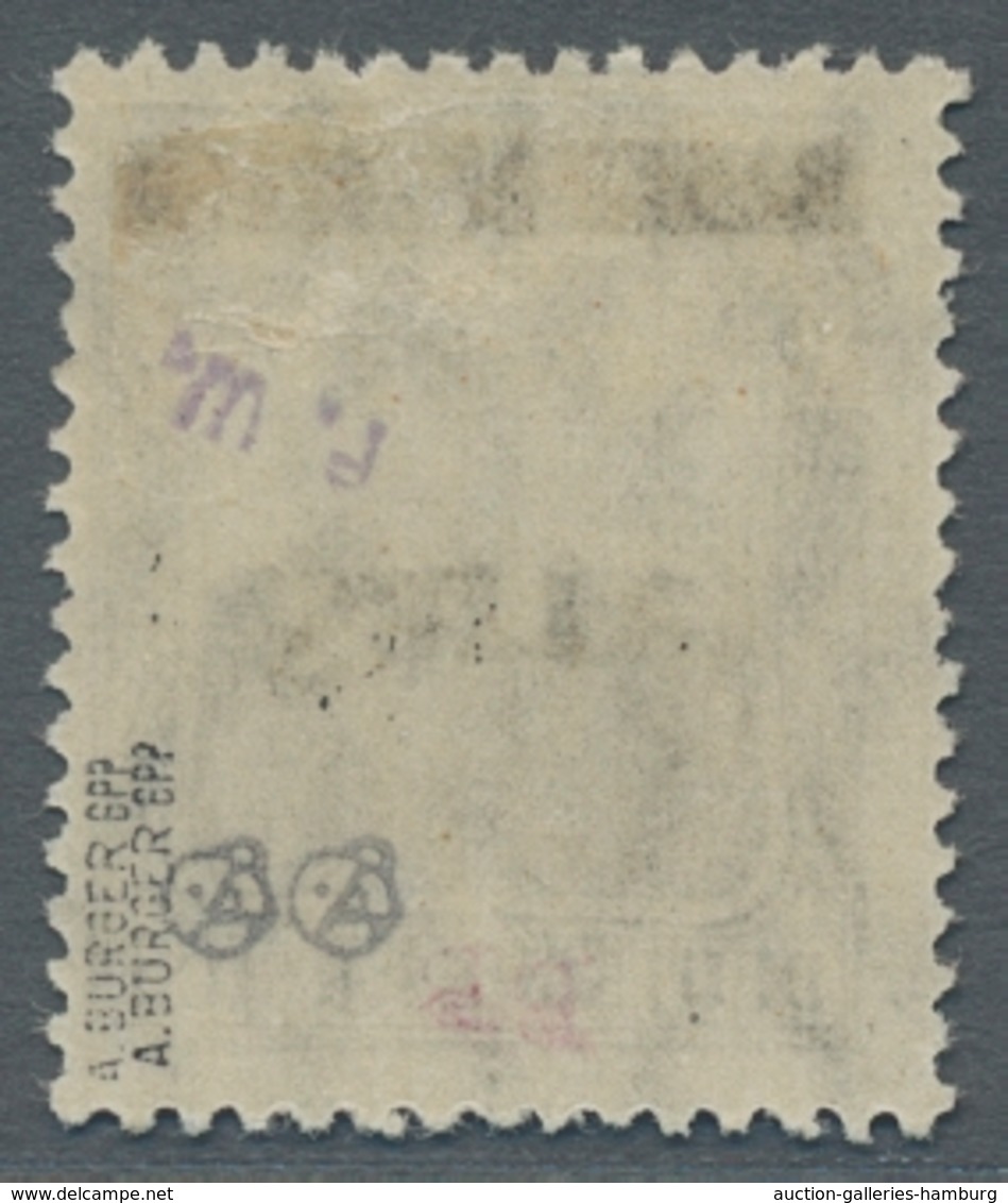 Deutsche Abstimmungsgebiete: Saargebiet: 1920, "2 ½ Pfg. Germania/Sarre Mit Kopfstehendem Aufdruck U - Lettres & Documents