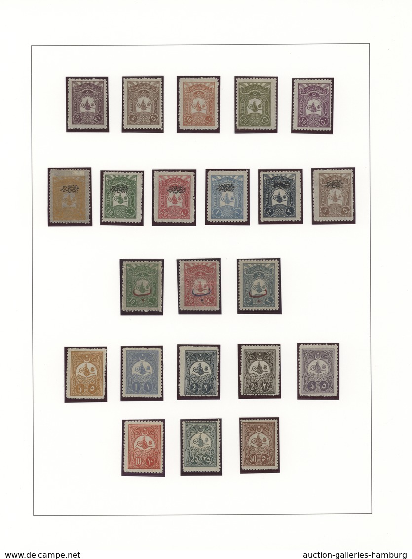 Türkei: 1876/1921, A Splendid Mint Collection Neatly Arranged On Album Pages, Well Collected Through - Nuevos