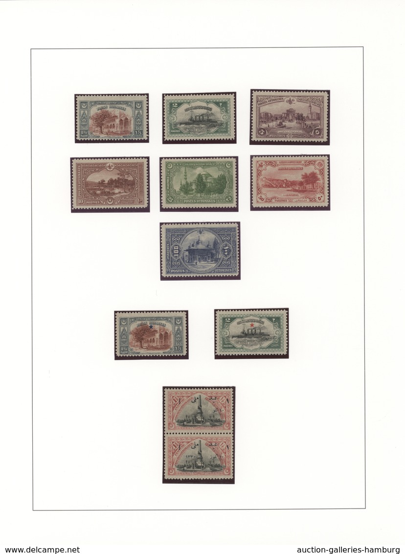 Türkei: 1876/1921, A Splendid Mint Collection Neatly Arranged On Album Pages, Well Collected Through - Neufs