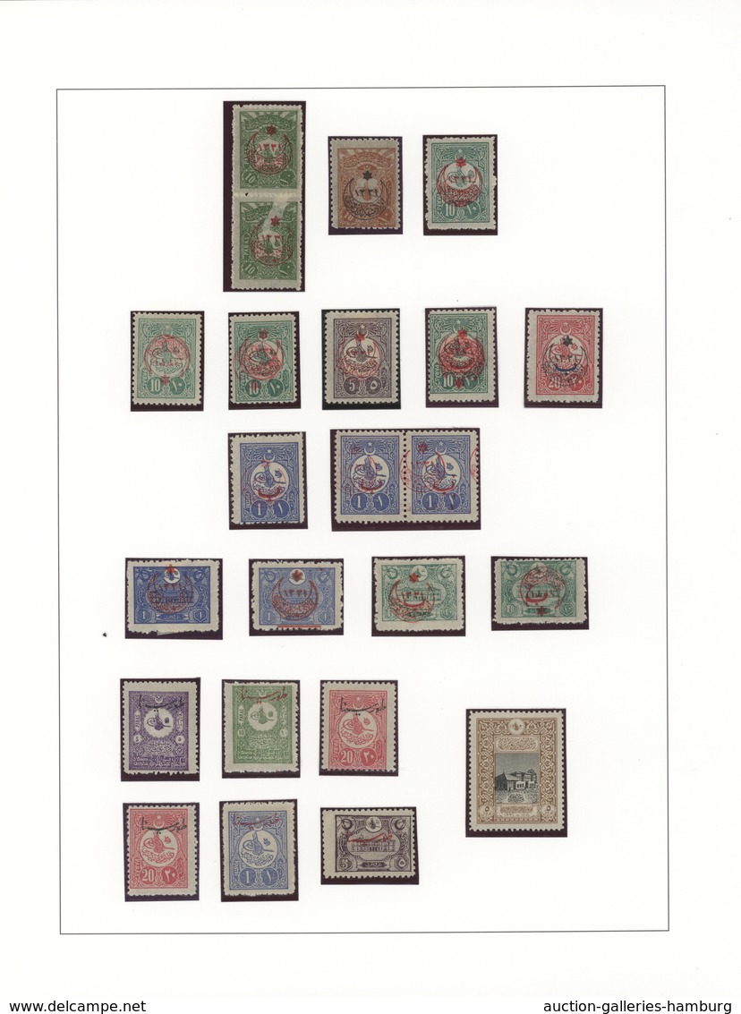 Türkei: 1876/1921, A Splendid Mint Collection Neatly Arranged On Album Pages, Well Collected Through - Nuevos