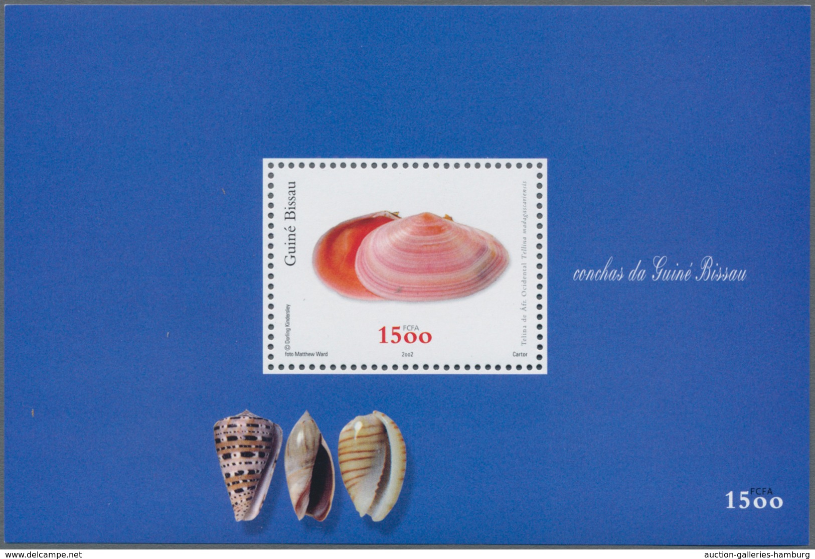 Guinea-Bissau: 2002, SHELLS, Souvenir Sheet, Investment Lot Of 1000 Copies Mint Never Hinged (Mi.no. - Guinea-Bissau