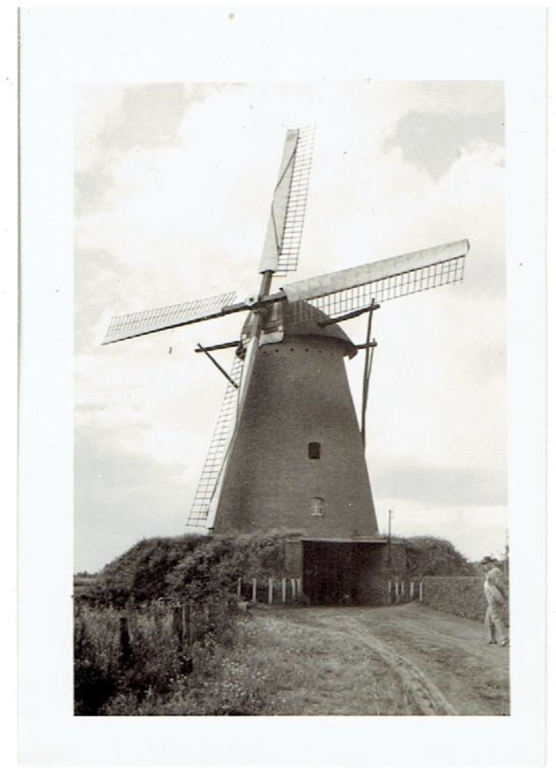 MOLENBEERSEL - Kinrooi - 2 Kleine Foto's 9 X 6,5 Cm - Stenen Molen Ong. 1955 - Kinrooi