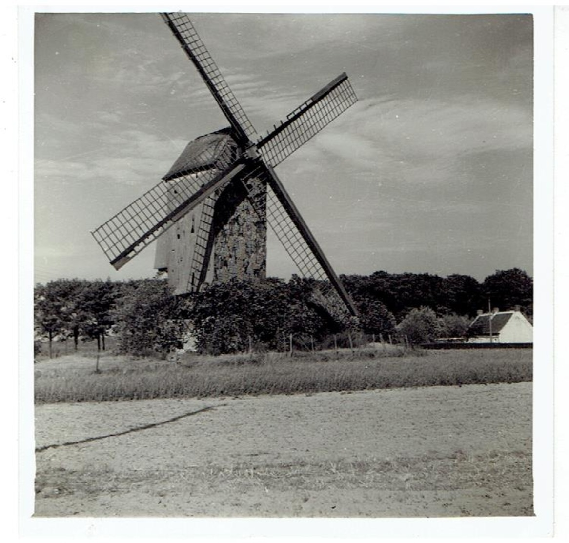 WORTEGEM - 2 Kleine Foto's 9 X 9 Cm + 1 Kleine Foto 9 X 6,5 Cm - Stuivenberg Molen Aug.1961 - Wortegem-Petegem