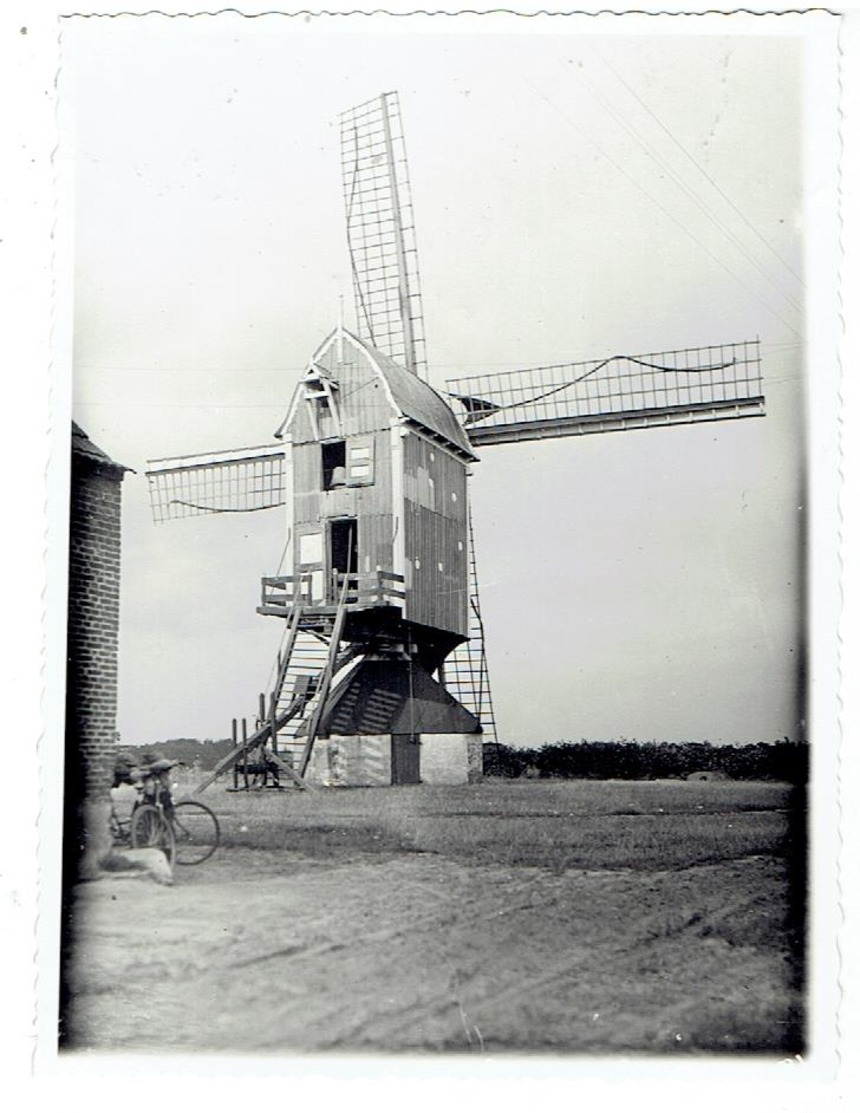 NIEUWMOER - Kalmthout -  Foto 11,5 X 8,5 Cm - Prachtige Opname Molen Juli 1931 - Kalmthout