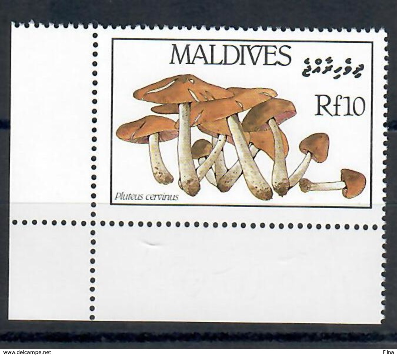 MALDIVE 1986 - FLORA - FUNGHI - 1 VALORE  - MNH ** - Maldive (1965-...)