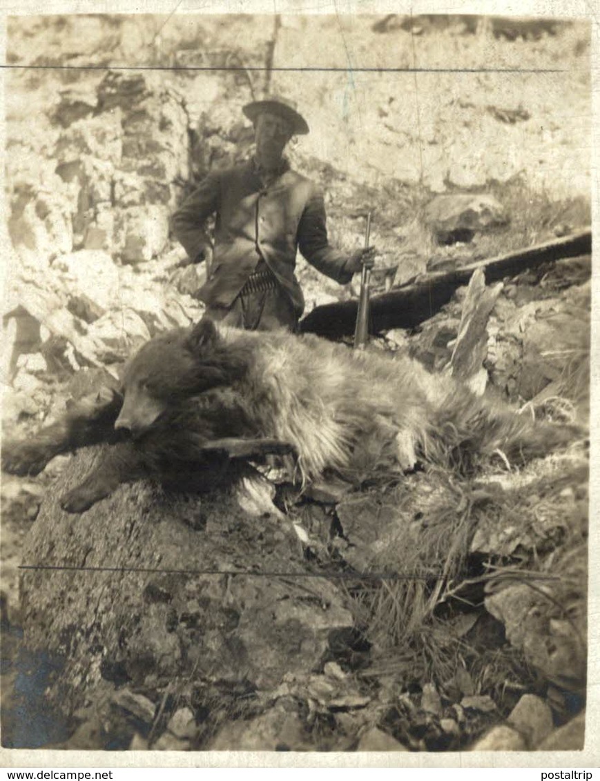 CHASSE HUNTING OURS BEARS OSOS BEREN  10*8CM Fonds Victor FORBIN 1864-1947 - Otros & Sin Clasificación