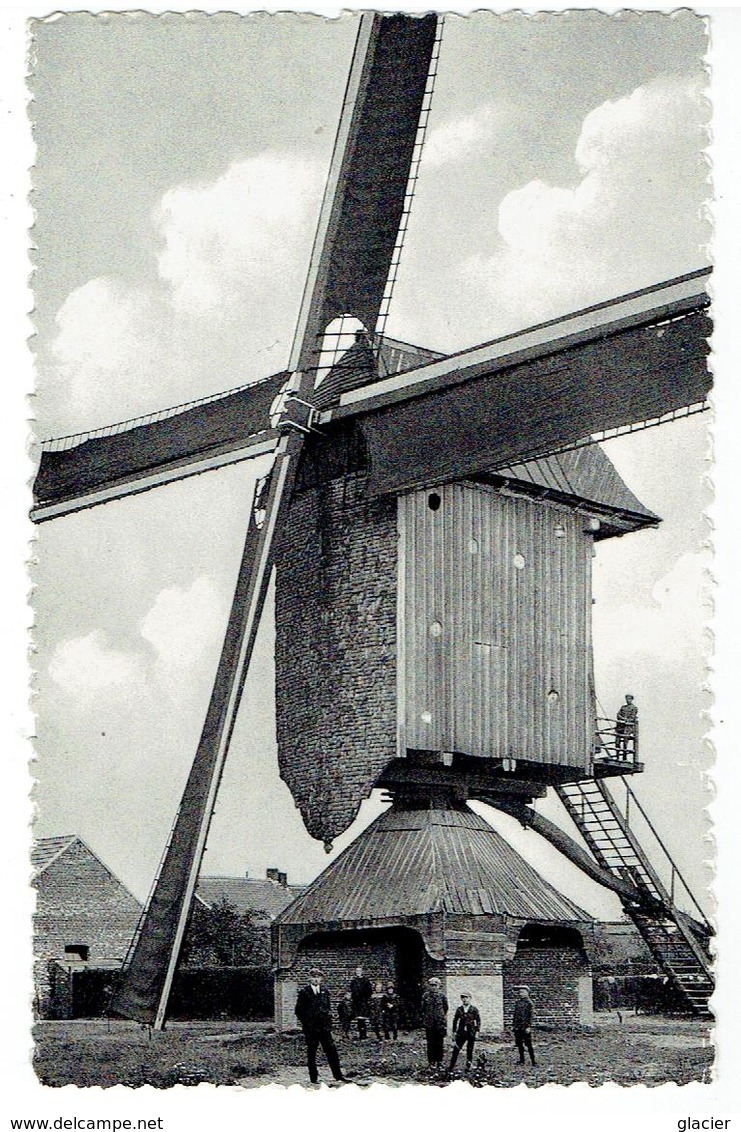 MOL - Windmolen - Moulin à Vent - Mol