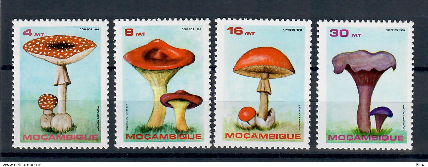 MOZAMBICO 1986 - FLORA FUNGHI  - MNH ** - Mozambico