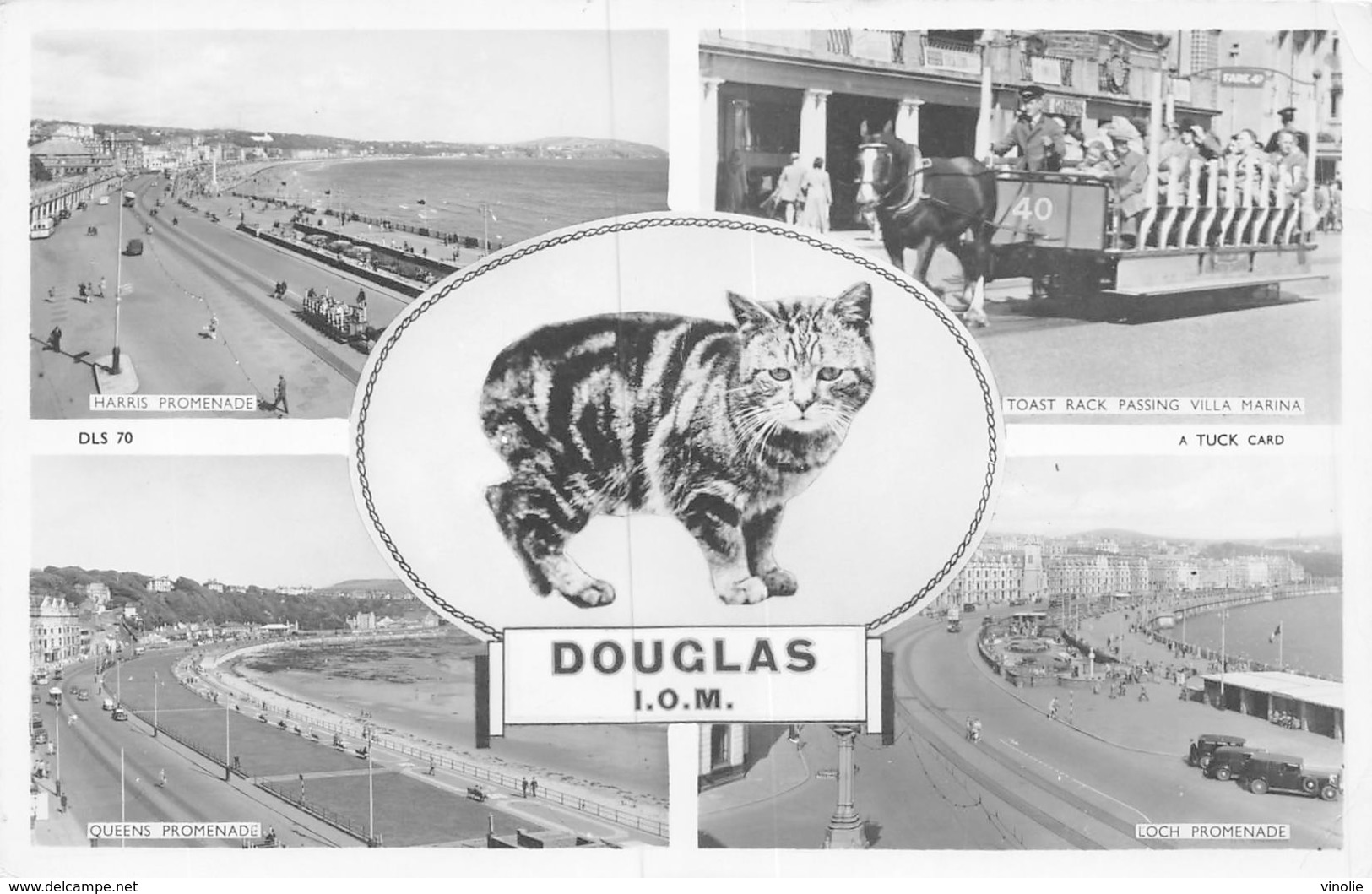 PIE.T.19-8918 : MULTIPLES VUES. DOUGLAS. - Isle Of Man