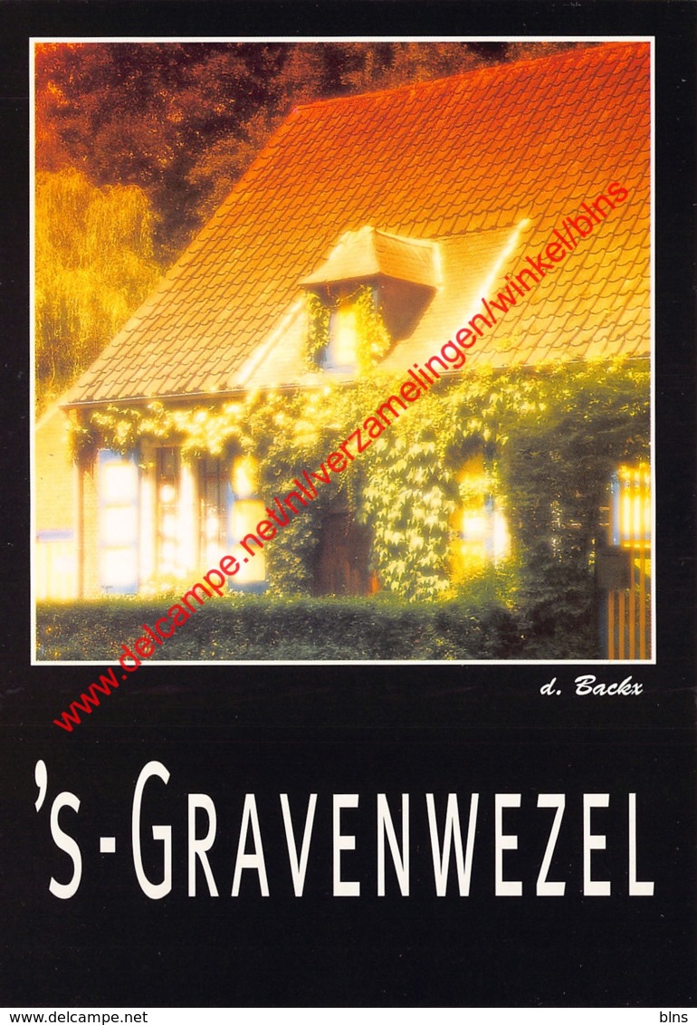 Huis Ter Brakke - 's Gravenwezel - Schilde - Schilde