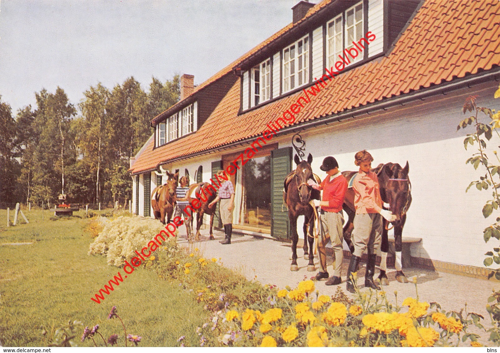 Hof Ter Linden - Ruiters Met Paarden - 's Gravenwezel - Schilde - Schilde