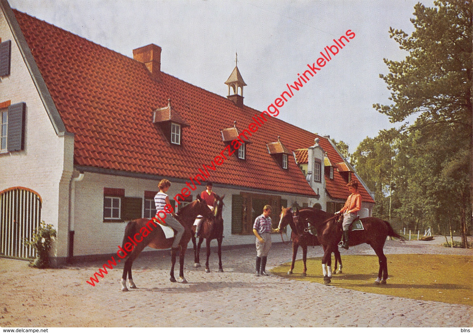 Hof Ter Linden - Ruiters Met Paarden - 's Gravenwezel - Schilde - Schilde