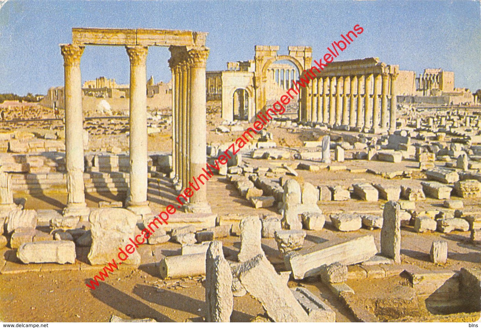 Palmyra - General View - Syrie Syria - Syrie