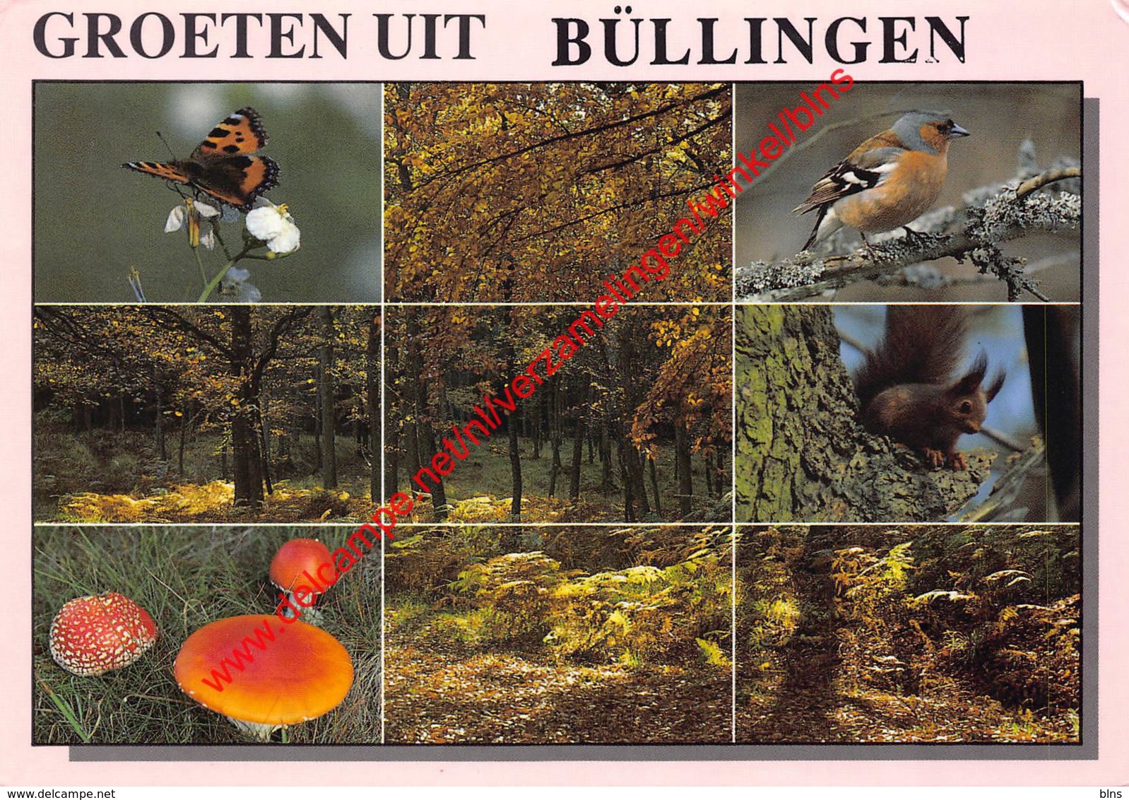 Natuur - Büllingen - Bullange - Buellingen